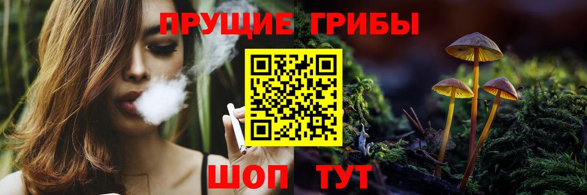 Псилоцибиновые грибы ЛСД Салехард